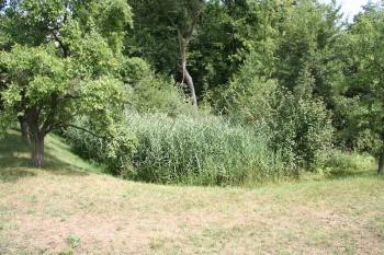 Příkop ( © Luděk Pitter 08/2006)