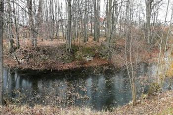 jihovýchodní nároží lokality ( © Jan P. Štěpánek 02/2008)