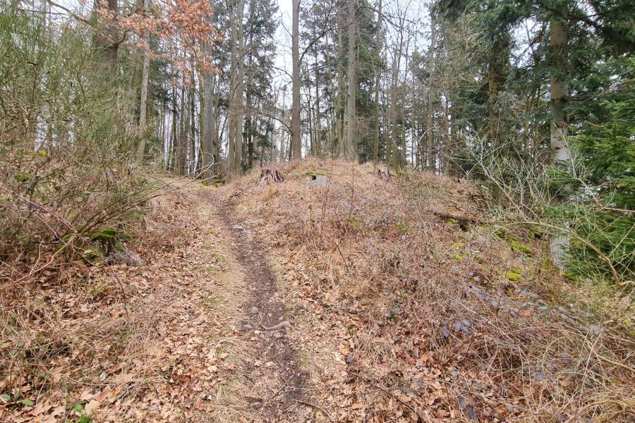 Libětice