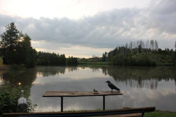 rybník U Mašků (© Luděk Vláčil  07/2021)