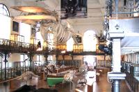 Oceánografické muzeum