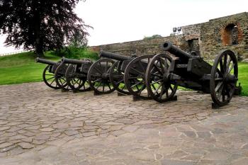 Cheb (hrad) ( © František Kinař 05/2017)
