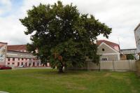 muzeum koněspřežky