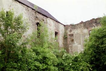  (© 2003 Jiří Čížek)