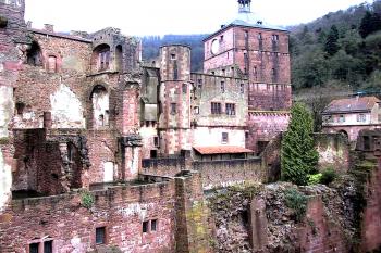 Zřícenina hradu Heidelberg v Německu (© Pavel Vítek 05/2001)