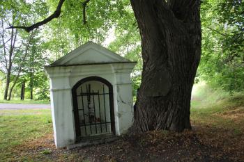  (© Luděk Vláčil  08/2021)