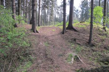 přístup na předhradí od západu (© D Dohňanský, 05/2017)
