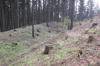 příkop s valem na vých.straně (© D Dohňanský, 05/2017)
