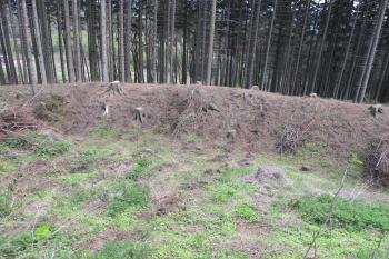 pohled z jádra do vých. příkopu (© D Dohňanský, 05/2017)