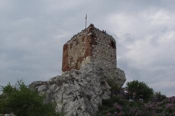  (© Michal Brůža, 04/2011)