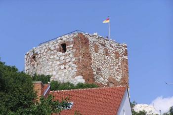 POhled na věž Kozího hrádku od židovského hřbitova (© Jan P. Štěpánek 07/2006)