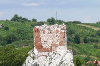 věž na Kozím vrchu ze zámku v Mikulově ( © Jan P. Štěpánek 07/2008)