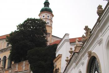  (© Alena Volná, 6/2008)