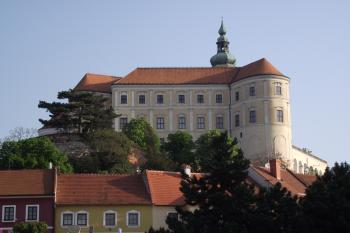  (© Michal Brůža, 04/2011)
