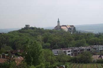  (© Michal Brůža, 04/2011)