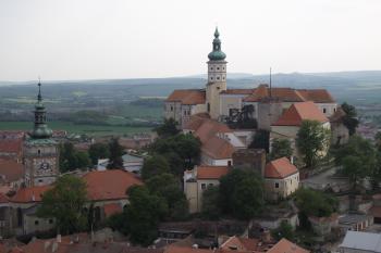  (© Michal Brůža, 04/2011)