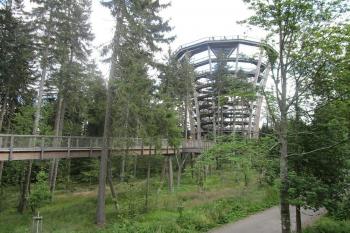 Janské Lázně-Stezka korunami stromů (© J. Králová 07/2020)