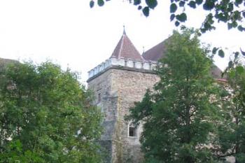  (© 2003 Jiří Čížek)