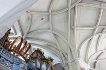 Klenba západní části hlavní lodi nad varhanní kruchtou (© Jan Sommer, 09/2007)