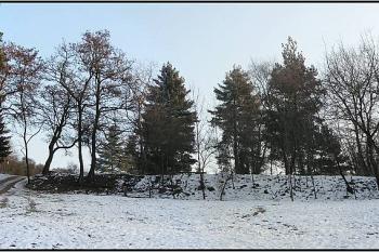 Pohled z údolí Botiče ( © Petr Turyna 01/2006)
