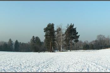 Centrální plocha hradiště, pohled k západu ( © Petr Turyna 01/2006)