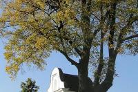 kaple sv. Anny