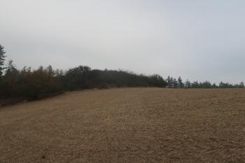 Pohled na hradiště od jihozápadu (© Prudký Martin  10/2021)