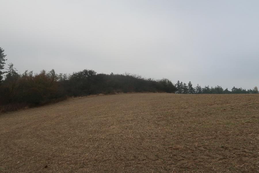 Vyšohrad