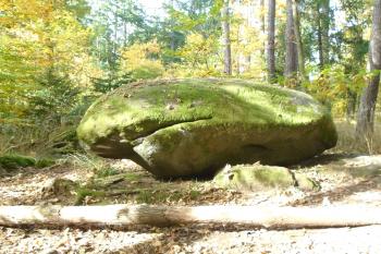 drak 2 (© Jaroslav Špiroch  10/2021)