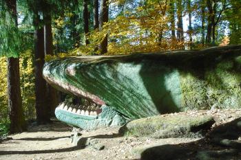 drak 1 (© Jaroslav Špiroch  10/2021)