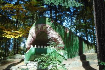 drak 1 (© Jaroslav Špiroch  10/2021)
