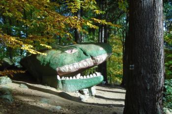 drak 1 (© Jaroslav Špiroch  10/2021)