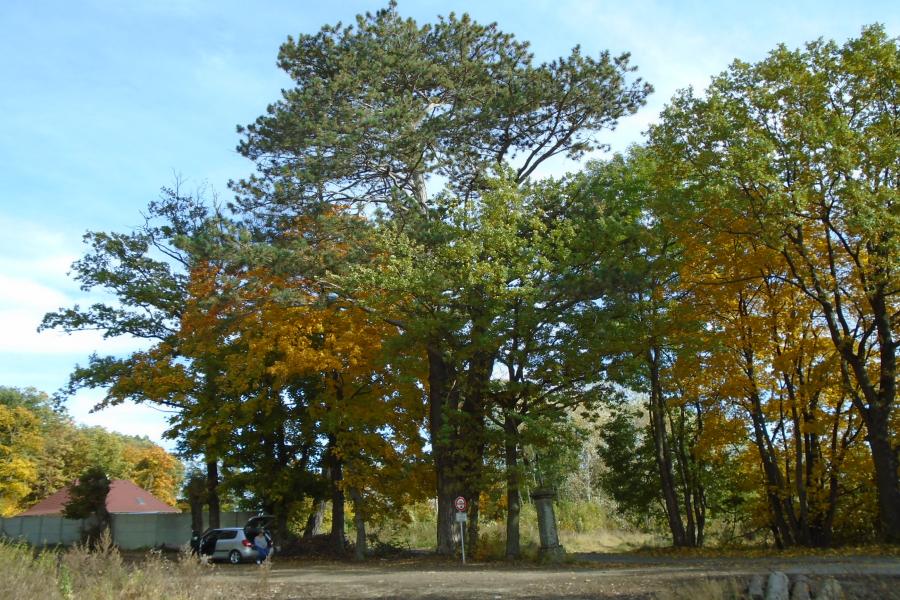 lesopark Prašivice