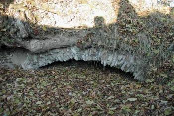 Zasypaný sklep (2003 © Václav Hájek)