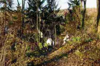 Panorama hradu (2003 © Lenka Daňková)
