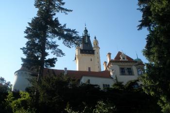  (© Jiří Suchomel, 05/2009)