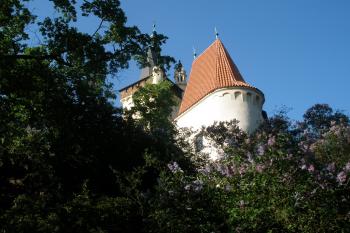  (© Jiří Suchomel, 05/2009)