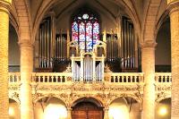 katedrála Notre–Dame