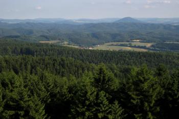  (© Zdeněk Susa, 07/2008)