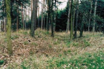 pohled na val a příkop (©   preview.htm)