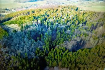  (© reprofoto Václav Čech 05/2021)