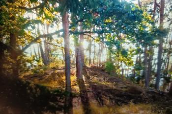  (© reprofoto Václav Čech 05/2021)