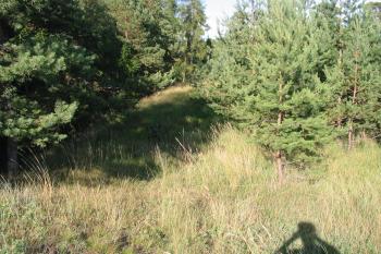 Přístupová cesta po šíji od východu (© D Dohňanský, 07/2014)