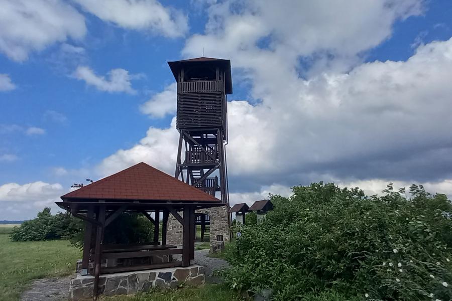 Olšová