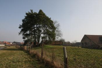  (© Petr Nožička  02/2021)