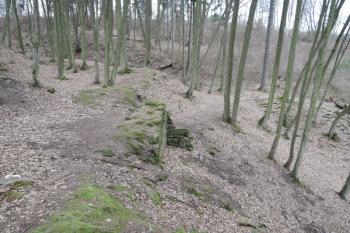 Průběh parkánové zídky, v níž se asi nacházela branka (úsek zdi s výstupkem) (© Jan Večeřa, 02/2016)