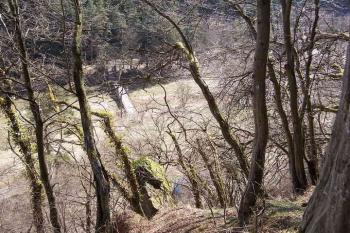 pohled z hradu na Sázavu (© Stanislav Drda 04/2006)