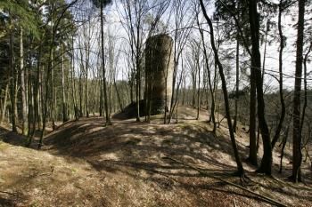 Celkový pohled na areál hradu od západu ( © Filip Matoušek 03/2009)
