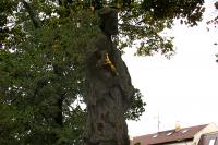 socha sv. Jana Nepomuckého