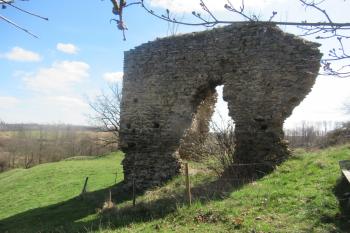 Weikertschlag (© roman roman 04/2023)